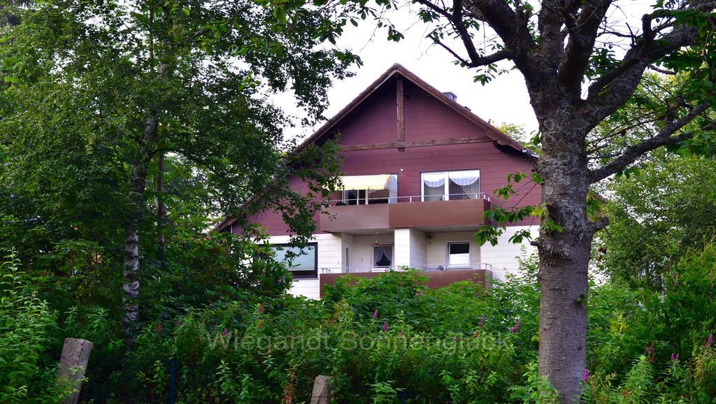 Sonnenglueck Mit Schwimmbad Leilighet Braunlage Rom bilde